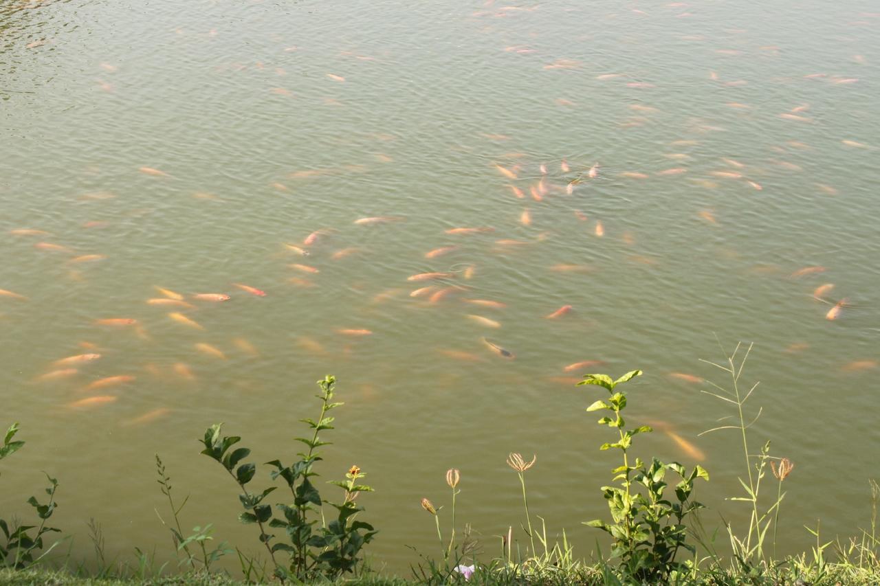 Menam Resort Nakhon Pathom Luaran gambar